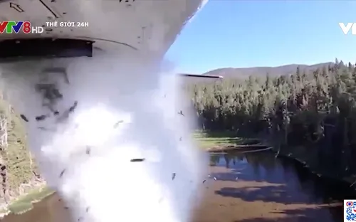 Mỹ dùng máy bay thả cá giống xuống 200 hồ nước ngọt ở Utah