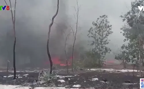 Quảng Nam - Đốt thực bì gây cháy rừng diện rộng