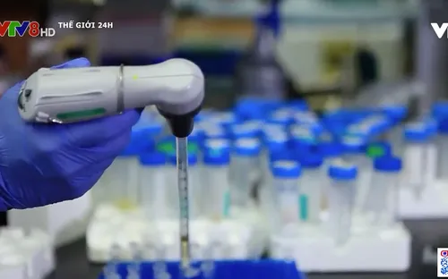 Thế giới nỗ lực nghiên cứu thuốc điều trị COVID-19