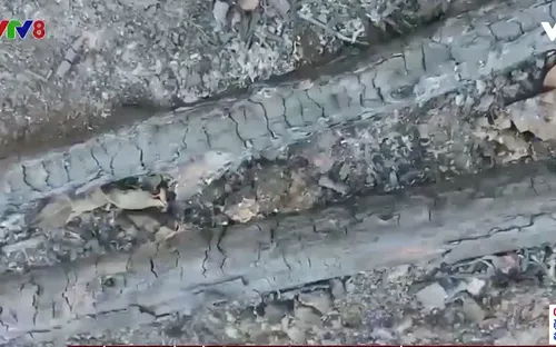 Quảng Nam: 15 ha rừng bị thiêu rụi trong 2 ngày đầu tháng 7