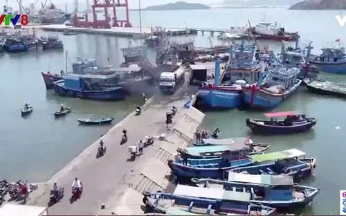 Bình Định kiểm soát tàu cá đến từ nhiều địa phương