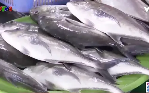 Đà Nẵng tăng cường kiểm soát giá cả mùa dịch