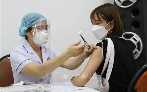 Ngày mai (7/8), Bộ Y tế họp thẩm định vaccine COVID-19 "made in Việt Nam" Nano Covax