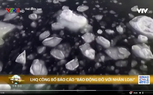 LHQ công bố báo cáo "Báo động đỏ với nhân loại"