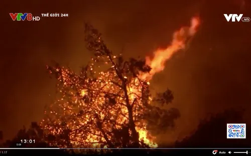 Cháy rừng nghiêm trọng tại nhiều nơi trên thế giới