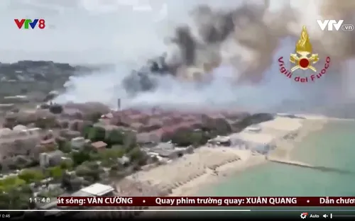 Nắng nóng gây ra 300 vụ cháy rừng ở miền nam Italia chỉ trong nửa ngày