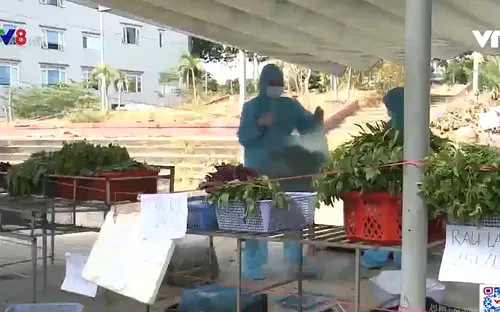 Đà Nẵng: Đảm bảo cung ứng hàng hóa trước giờ dừng mọi hoạt động