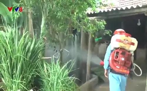 Hà Tĩnh: Xuất hiện ổ dịch sốt xuất huyết tại huyện Lộc Hà