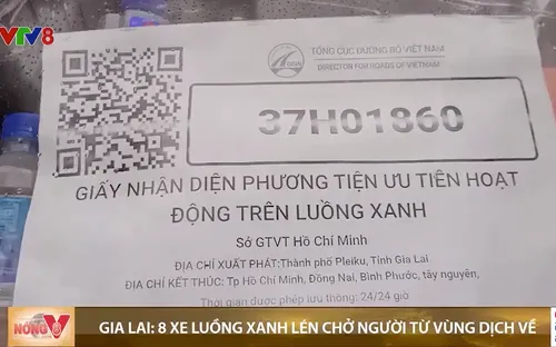 Gia Lai phát hiện 8 xe "luồng xanh" lén chở người về từ vùng dịch