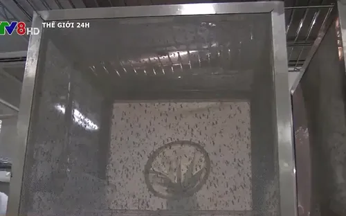 Trung Quốc sử dụng công nghệ hạt nhân để diệt muỗi