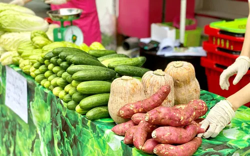 “Bão” COVID-19: Doanh nghiệp điện, nước đi bán... rau