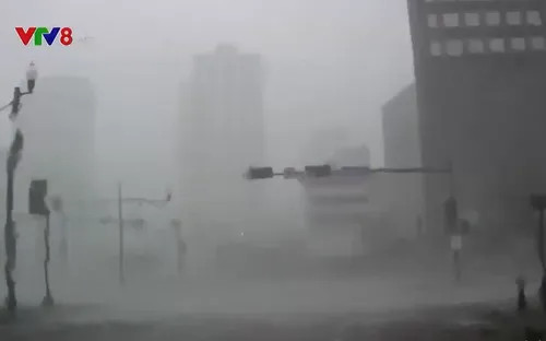 Siêu bão Ida đổ bộ vào Mỹ