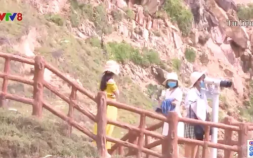 Bình Định: Hỗ trợ hướng dẫn viên du lịch khó khăn do ảnh hưởng của dịch COVID-19