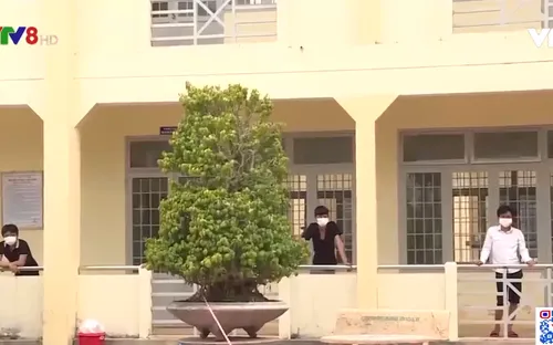 Xử lý nghiêm các trường hợp vi phạm phòng chống dịch trong khu cách ly