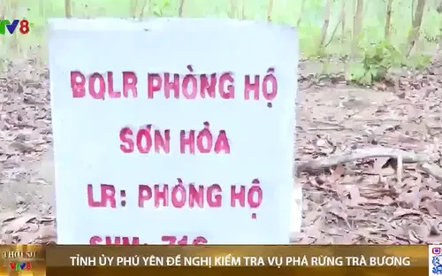 Tỉnh ủy Phú Yên đề nghị kiểm tra vụ phá rừng Trà Bương, Sơn Hòa