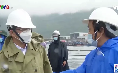 Đà Nẵng: Mở cửa âu thuyền Thọ Quang cho tàu tránh bão