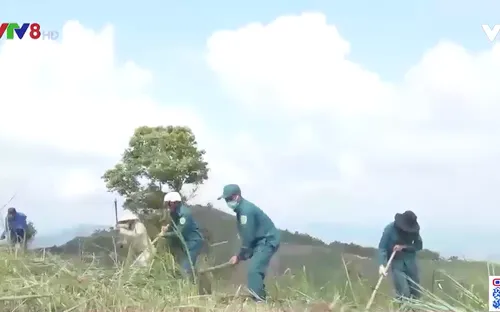 Kon Tum đẩy mạnh phong trào trồng phát triển rừng