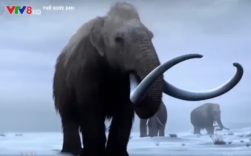 Hồi sinh voi ma mút đã tuyệt chủng