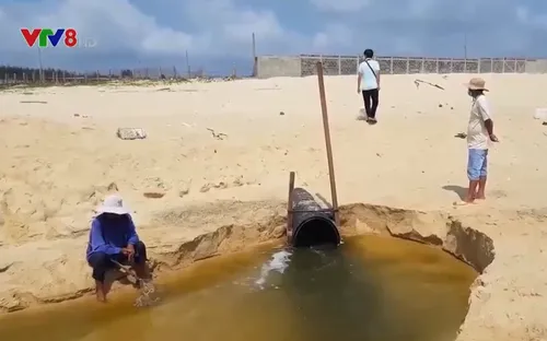 Phú Yên: Làm rõ việc các doanh nghiệp nuôi tôm thải ra biển An Hòa Hải