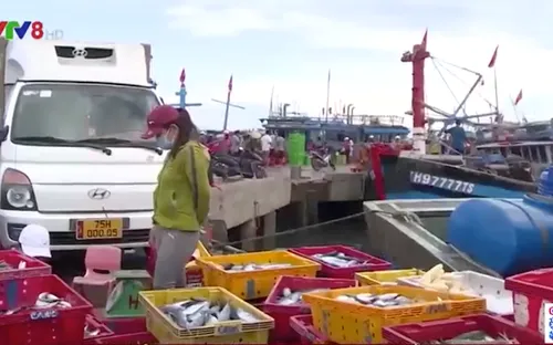 Thừa Thiên-Huế: Đảm bảo chuỗi cung ứng hải sản gắn với phòng chống dịch