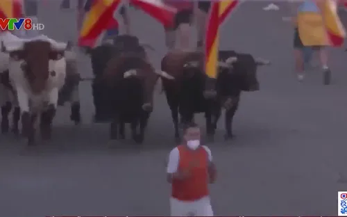 Tây Ban Nha nối lại lễ hội chạy đua với bò tót sau 1 năm gián đoạn vì COVID-19