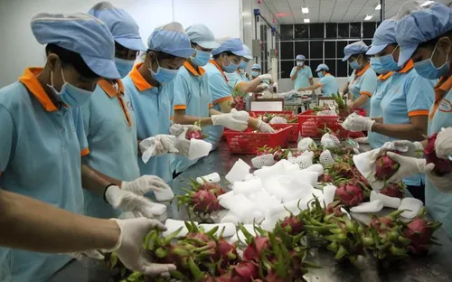 Hơn 1.600 mã nông sản, thực phẩm Việt Nam được xuất khẩu sang Trung Quốc