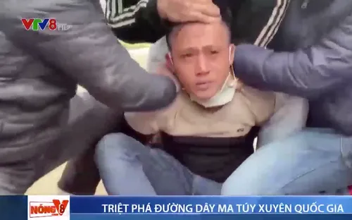 Nghệ An triệt phá đường dây ma túy xuyên quốc gia