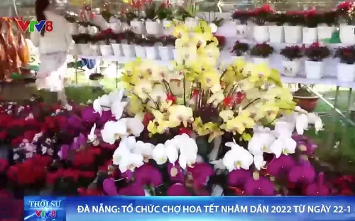 Đà Nẵng tổ chức chợ hoa Tết Nhâm Dần 2022 từ ngày 22-1