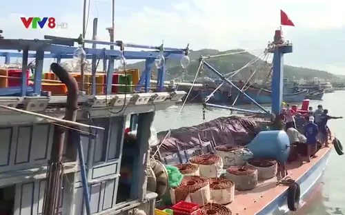 Ngư dân phấn khởi cho chuyến biển xuyên Tết