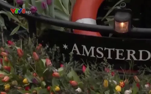 Ngày hoa Tulip quốc gia tại Hà Lan