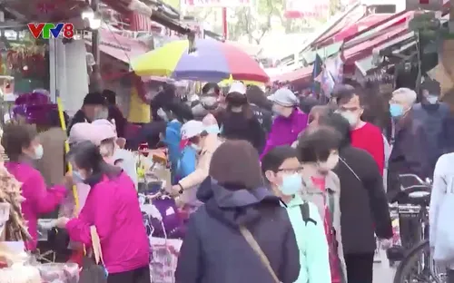 Chợ hoa Hong Kong nhộn nhịp trước tết Nguyên Đán