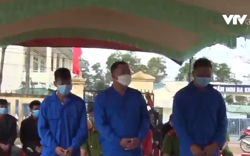 Săn thú rừng làm mồi nhậu, 3 người lĩnh 12 năm tù giam