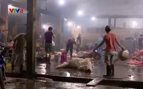 Quảng Nam tăng cường kiểm soát các lò mổ dịp Tết