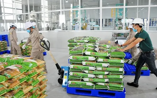 FTA thúc đẩy xuất khẩu tăng trưởng