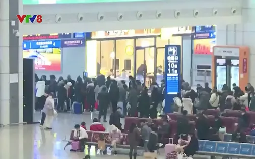 Người phụ nữ trồng 1 tỷ cây xanh