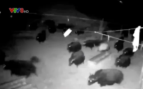 Động đất có độ lớn 6,9 tại Trung Quốc