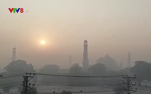 Ô nhiễm không khí dẫn tới 1,8 triệu ca tử vong sớm mỗi năm