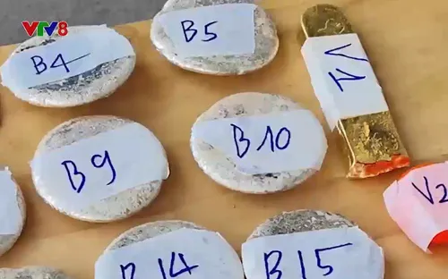 Quảng Trị khởi tố vụ vận chuyển vàng và USD trái phép qua biên giới