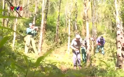 Làng gió trầm Hương Khê Hà Tĩnh