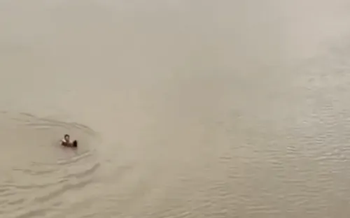 Nam thanh niên cứu người nhảy cầu sông Sêrêpốk