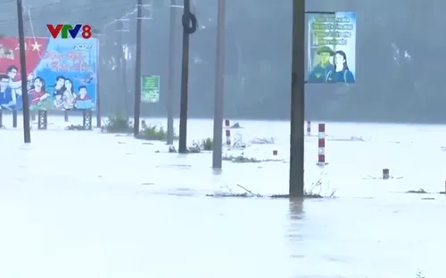 Bình Định ứng phó với áp thấp nhiệt đới