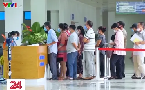 TP Hồ Chí Minh: Hướng dẫn sửa giấy báo tử vì COVID-19 sai thông tin