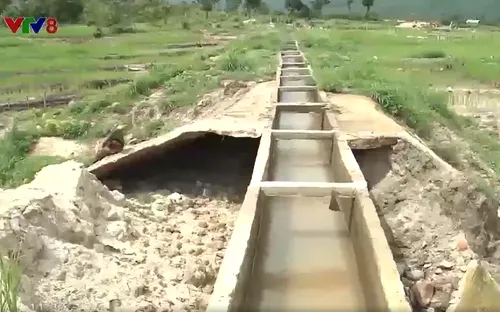 Gia Lai: Cấm thêm 1 doanh nghiệp tham gia đấu thầu