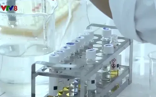 Đà Nẵng xử lý nghiêm doanh nghiệp gây ô nhiễm môi trường