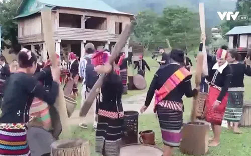 Phục dựng lễ hội mừng lúa mới của đồng bào Vân Kiều