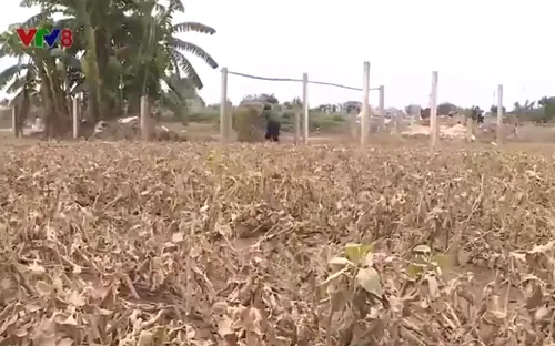 Nỗi khổ của người dân vùng lũ