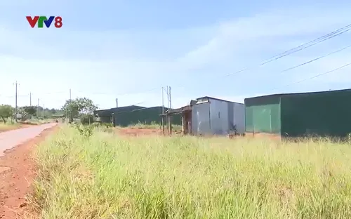 Đắk Nông: Đất cụm công nghiệp thành “khu dân cư”