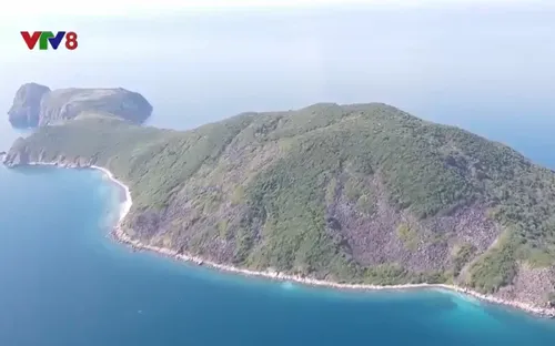 Khánh Hòa nỗ lực phục hồi hệ sinh thái tự nhiên