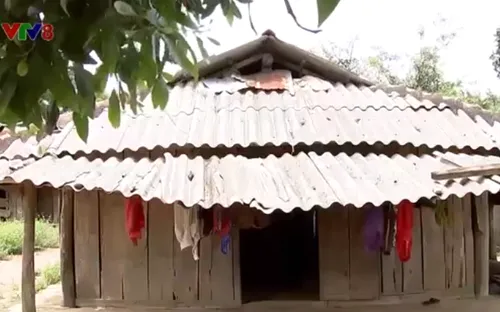 Dai dẳng nạn ma túy trong buôn làng