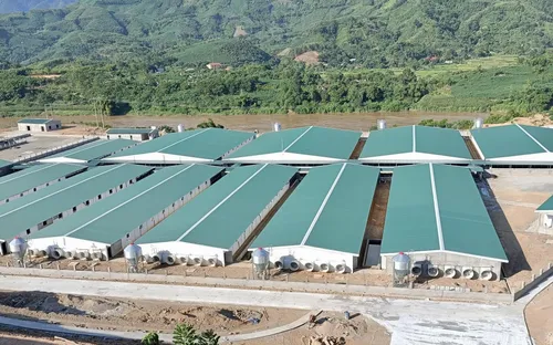 Ống nhựa Hoa Sen ghi dấu ấn thương hiệu trên khắp mọi miền Tổ quốc